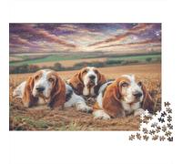 Cute Dog 1000Pc for Adults Gifts: Basset Hounds in Field Educational Game Challenge & Brainteasing Activity 70x50cm/1000pcs