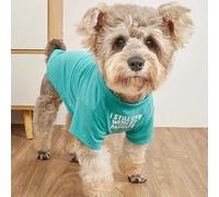 Cute Dog Clothes,Dog T Shirt for Medium Dogs.Dog Clothes for Small Dogs Girl Boy,Puppy.Breathable Soft Dog Costume for Pet Dogs Cats, Pet Pullover Jumper, Cat Clothes (Aqua, L-(10~17lb), Chest~18")