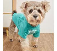 Cute Dog Clothes,Dog T Shirt for Medium Dogs.Dog Clothes for Small Dogs Girl Boy,Puppy.Breathable Soft Dog Costume Pet Dogs Cats,Pet Pullover Jumper,Cat Clothes (M-(7~11lb), Chest~16", Aqua)