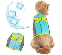 Cute Dog Cooling Vest Large-Area Reflective Puppy Ice Jacket Summer Heat Relief Lightweight UV Protection D Ring Beach Hiking Walking (Green, X-Large)