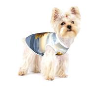 Cute Dog Costume - Soft 100% Cotton Pet Sweater for Small and Medium Dogs - Perfect for Everyday Wear and Special Occasions Sunflowers at Dawn