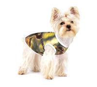 Cute Dog Costume - Soft 100% Cotton Pet Sweater for Small and Medium Dogs - Perfect for Everyday Wear and Special Occasions Koala Plays Guitar