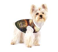 Cute Dog Costume - Soft 100% Cotton Pet Sweater for Small and Medium Dogs - Perfect for Everyday Wear and Special Occasions Phoenix