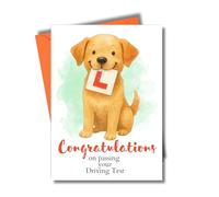 Cute Dog Driving Test Congratulations Card for Him or Her Passed Exam Celebration DRIVE12