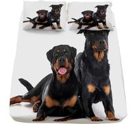 Cute Dog Fitted Sheet Super King Size Pet Dog 3D Fitted Sheets Deep Pocket 12 inch 30 cm Bottom Sheet Ultra Soft Microfibre Bedding Set with 2 Pillowcases a/551