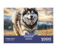Cute Dog Fun And Challenging Family Game 1000 Pieces Puzzle -Alaskan Malamute in Field for Adults Kids Great Gift Idea70x50cm/1000pcs