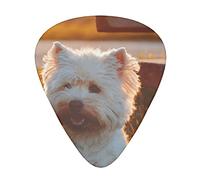 Cute Dog Guitar Picks 12 Pcs Classical Triangle Guitar Plectrums Includes Thin, Medium & Heavy Gauges 3 Sizes for Bass Electric Acoustic Guitars Ukulele with Organizer Storage Box