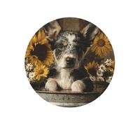 Cute Dog In Old Metal Tub Sunflowers Round Magnetic Fridge Magnets For Kitchen Durable With Enduring Magnetism