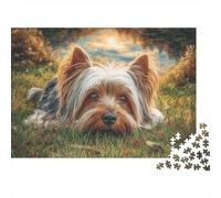 Cute Dog Jigsaw Puzzles 1000 Pieces | for Adults & Kids Yorkie Lies in Grass at Sunset Educational Decompression Game 70x50cm/1000pcs