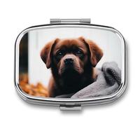 Cute Dog Pill Box for Pocket Square Pill Box 2 Compartment Decorative Portable Travel Pill Holder Tablet Vitamin Organizer Mini Pill Case