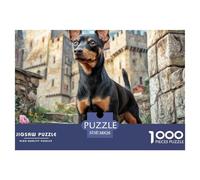 Cute Dog Recycled Board Puzzle: Doberman by Castle Steps for Adults And Kids Age 12 Years Great Gift 38x26cm/1000pcs