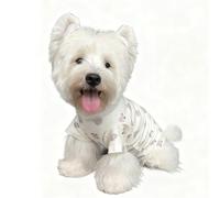 Cute Dog Shirt, Stretchy Dino Doggie T-Shirt Clothes for Small Dogs, Soft Pet Tee Outfit Cat Apparel for Daily Wear, Cozy Pullover Design Puppy Apperal (Doggie, Small Size for 3.3-5.5lb Pets)