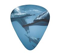 cute dolphin Guitar Picks 12 Pcs Classical Triangle Guitar Plectrums Includes Thin, Medium & Heavy Gauges 3 Sizes for Bass Electric Acoustic Guitars Ukulele with Organizer Storage Box