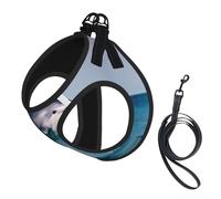 cute Dolphin print Dog Harness and Leash Set, Reflective Adjustable Puppy Vest for Small Medium Large Dogs, Cats