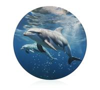 Cute Dolphins Cutting Board for Kitchen Mini Cheese Chopping Board Round Tempered Glass Chopping Block for Picnic Cutting Pizza Meat Fruit(7.9 Inch)