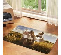 Cute Donkeyprint Pet Absorbent Leather Tablecloth,Wipe Clean Quick Dry,Food Mat For Small Animals