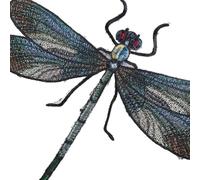 Cute Dragonfly Delicate Embroidered, Embroidery, Iron On Patches, Sew On Applique, Iron On Patches, Appliques, Dragonfly Embroidered, Sewing Trim