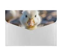 Cute Ducks File Folder, Plastic Accordion File Folders with 6 Pockets, Expanding File Organizer with Snap Closure, Portable Document Paper Organizer, Office Supplies Filing Folders