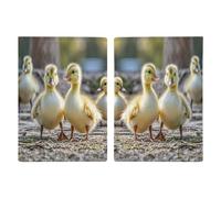 Cute Ducks Passport Holder Personalized Passport Wallet for Women Men Travel Document Organizer Holder