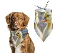 Cute DucksPet Scarf Dog Bandana for Small Medium Large Exquisite Unique Cat Dogs Kerchief Premium Fabric Cute Triangle Cat Dogs Bibs Scarf