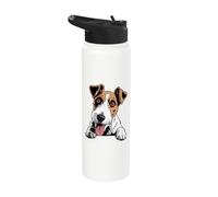 Cute Energetic Bold Illustration Cartoon Canine Fox Terrier Stainless Steel Insulated Water Bottle