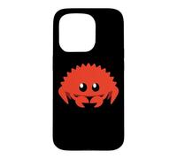 Cute Ferris Rustacean Programmer Computer Science Teacher Case for iPhone 15 Pro