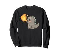 Cute Fire Breathing Baby Dinosaur Monster Sweatshirt