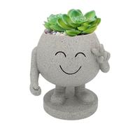 Cute flower pot, this cute plant pot made of standing planter material is a long-lasting garden resin planter - garden decoration yard pot cute juicy pot for cactus, orchids, mite