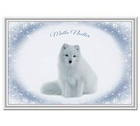 Cute Fox Christmas Card in different languages - Merry Xmas - Luxury Quality (Mutlu Noeller - Turkish)