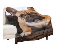 Cute French Bulldog Flannel Throw Blanket - 30"x50" Soft Lightweight Plush Blanket for Couch Bed Sofa, Oversized Camping Travel Blankets, Machine Washable Home Decor Gift for Men Women