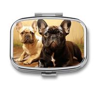 Cute French Bulldog Graphics Pill Box Elegant Metal Pill Case with 2 Compartments, Slim Portable Medicine Organizer for Purse, Pocket, Travel
