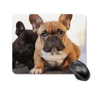 Cute French Bulldog Mouse Pad 20 * 25cm - Non-Slip Rubber Base Mouse Mat Portable Square Desk Mat for Office, Laptop, Travel, Wireless Mice Mats - Waterproof & Durable Design