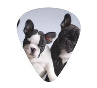 Cute French Bulldog Puppies,12 Pcs Guitar Pick,3 Different Thickness Plectrums for Acoustic Guitar Bass Ukulele (0.46mm 0.96mm 0.71mm)