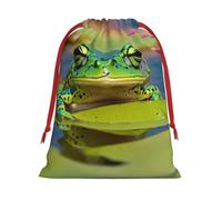Cute Frog Print Gift Drawstring Bag Reusable Pouch Party Favors Birthdays Weddings Daily Sack