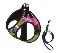 Cute Frog Print Pet Vest Harnesses Leash Set Reflective Puppy Vest Dogs Walking Training Dog Harness