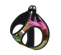 Cute Frog Print Pet Vest Harnesses Leash Set Reflective Puppy Vest Dogs Walking Training Dog Harness