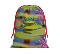 Cute Frog print Super soft velvet drawstring storage bag, fit for Halloween promotion multifunctional bag