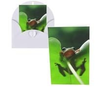 Cute Frog Print Thank You Cards Greeting Cards With Envelopes Blank Note Cards 10x15 cm Perfect for Thank Yous Invitations
