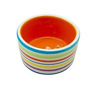 Cute Fruit Pattern Ceramic Pet Feeder Bowl for Hamster Squirrel Guinea Chinchilla Ferret