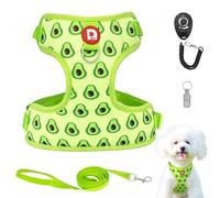 Cute Fruit Print Easy Walk No Pull Adjustable Puppy Cat Vest Harness and Lead Set, Adjustable No Pull Dog Vest Harness for Small Medium Dogs