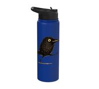 Cute Funny Black Crow Character Big Eye Raven Cartoon Stainless Steel Insulated Water Bottle