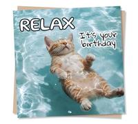 Cute Funny Cat Birthday Card for Women, Friend - Relax, Pool, Kitten | for Her, Men, Him, Mum, Dad, Sister, Bestie, Colleague, Owner - Turquoise, Water, Ginger - Blank Inside, with Envelope