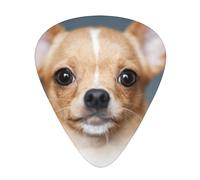 Cute Funny Chihuahua Dog,12 Pcs Guitar Pick,3 Different Thickness Plectrums for Acoustic Guitar Bass Ukulele (0.46mm 0.96mm 0.71mm)
