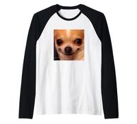 Cute Funny Chihuahua Face Closeup Blurry Dog Meme Raglan Baseball Tee