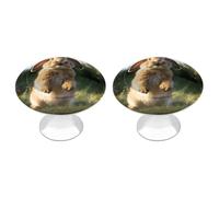 Cute Funny Rabbit Cabinet Knobs, 2-Pack Silver Stainless Steel Drawer Pulls with Screws, Elegant Hardware for Dressers, Kitchen,Cabinets & Desks