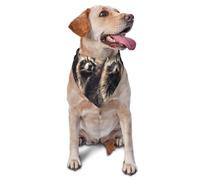 Cute Funny Raccoons Zoological Garden RaccoonDog Bandanas Cat Puppy Scarfs Washable Pet Handkerchief