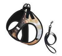 Cute German Shepherd Puppy Printing Dog Summer Harness With Leash Set,Adjustable And Reflective Step-In Puppy Pet Vest Harnesses