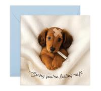 Cute Get Well Soon Card - Sorry You’re Feeling Ruff - Adorable Puppy Dog Recovery Card for Friends, Family, Colleagues, Neighbour, Pet Owners, Fur Dad Mum, Him, Her - Comes with Sweet Stickers