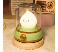 Cute Ghost Campfire Nightlight, Rechargeable Night Light with Timer, 2 Modes Dimmable Night Lamp, Warm Lights Lamp for Bedroom Decoration, Silicone Flame Amber Light (Green)
