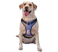 Cute Ghost On A Swing No Pull Dog Harness Adjustable Reflective Oxford Easy Control Medium Large Dog Harness